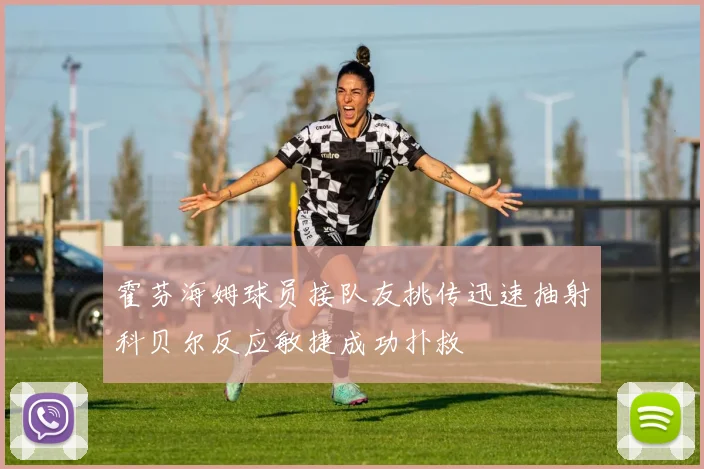 霍芬海姆球员接队友挑传迅速抽射科贝尔反应敏捷成功扑救